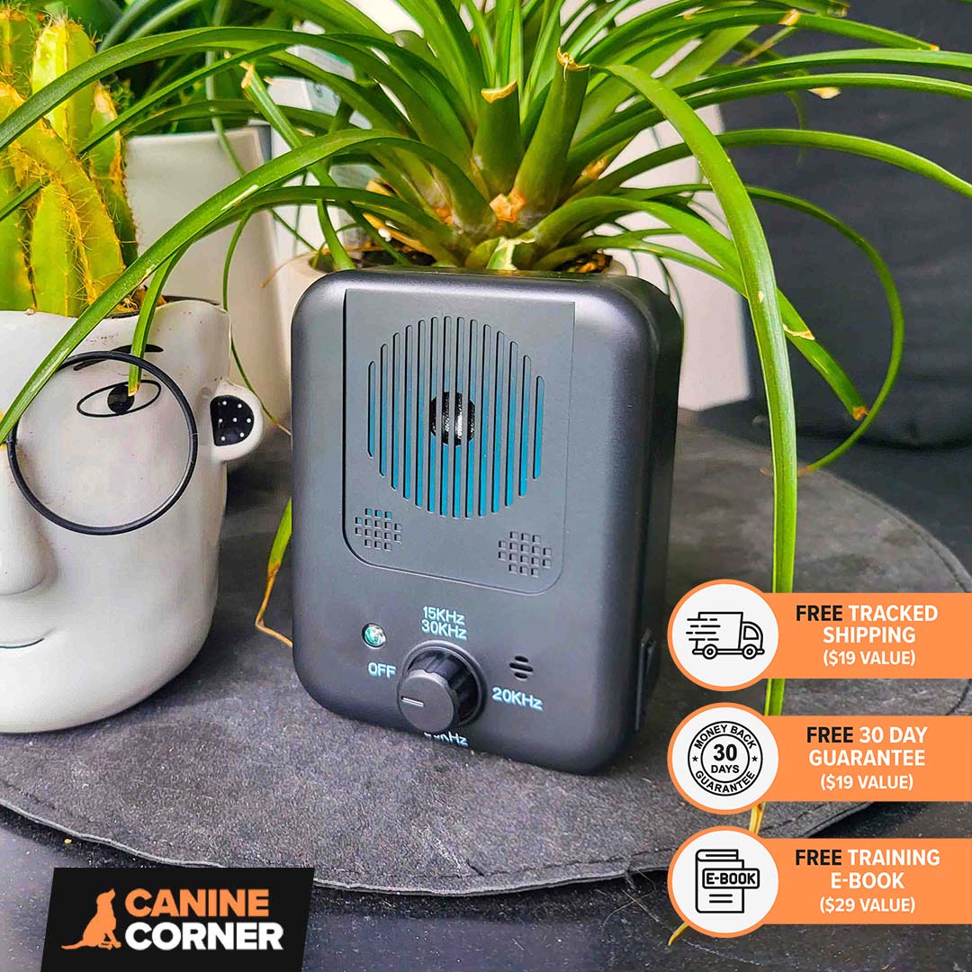 Barkbuddy™ - CANINE CORNER