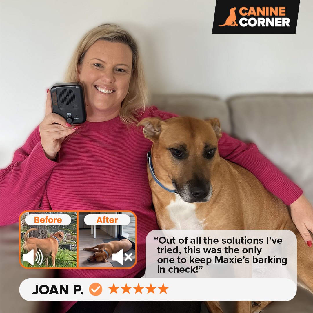Barkbuddy™ - CANINE CORNER