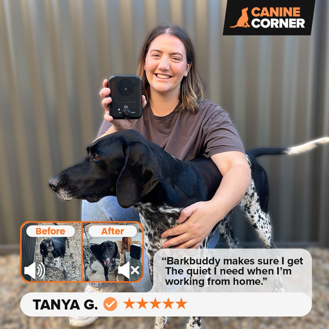 Barkbuddy™ - CANINE CORNER