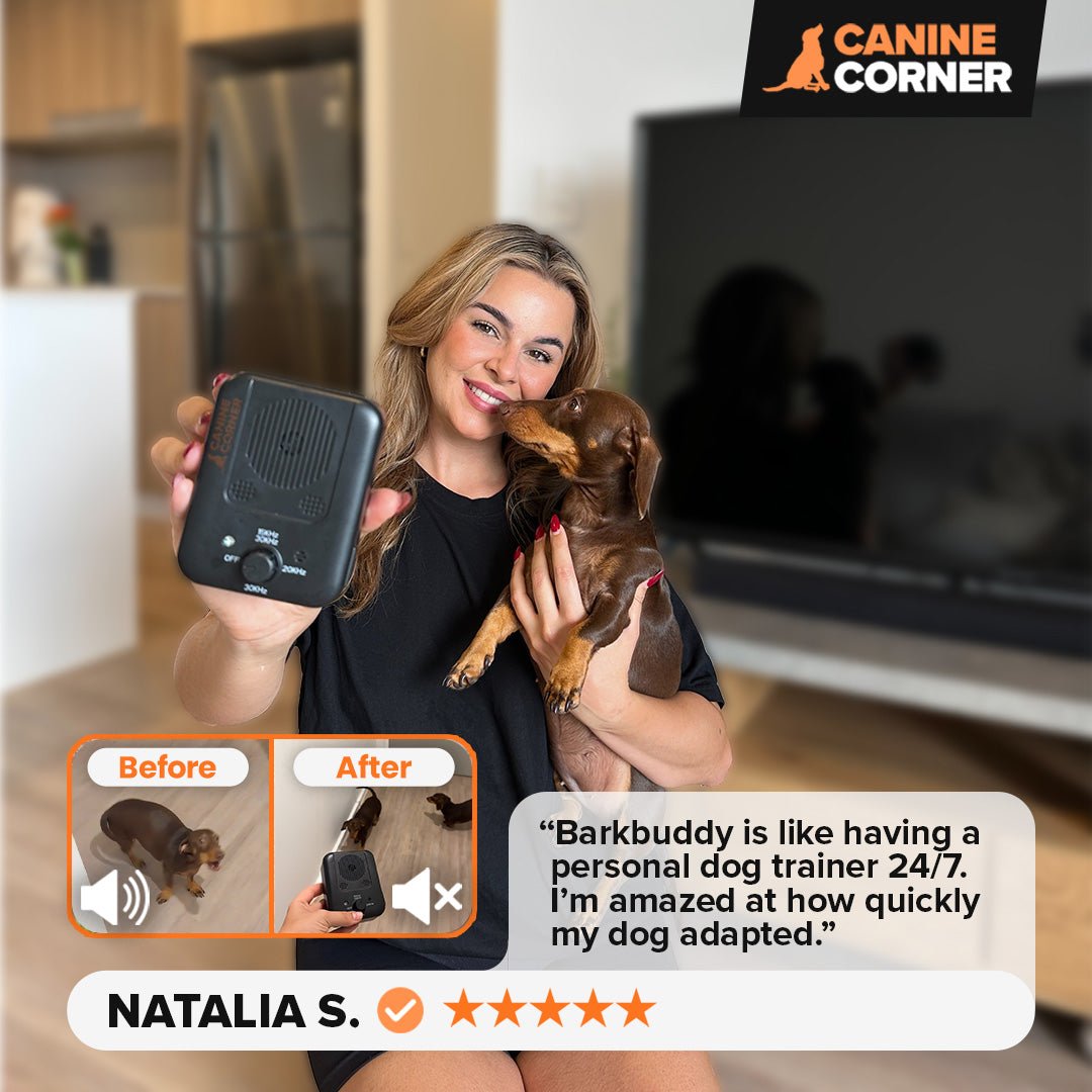 Barkbuddy™ - CANINE CORNER