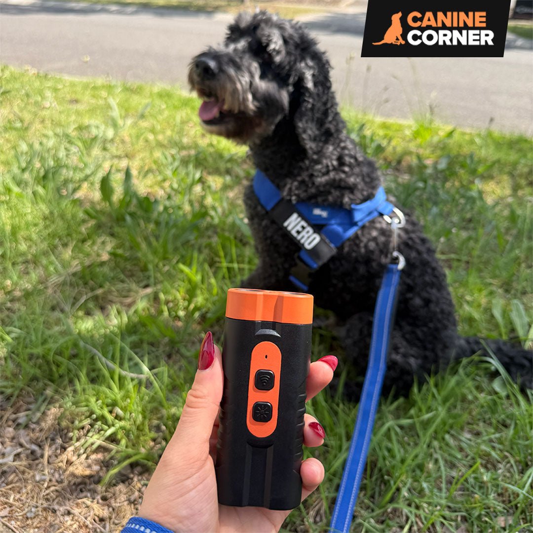 Barkbuddy Go™ - CANINE CORNER