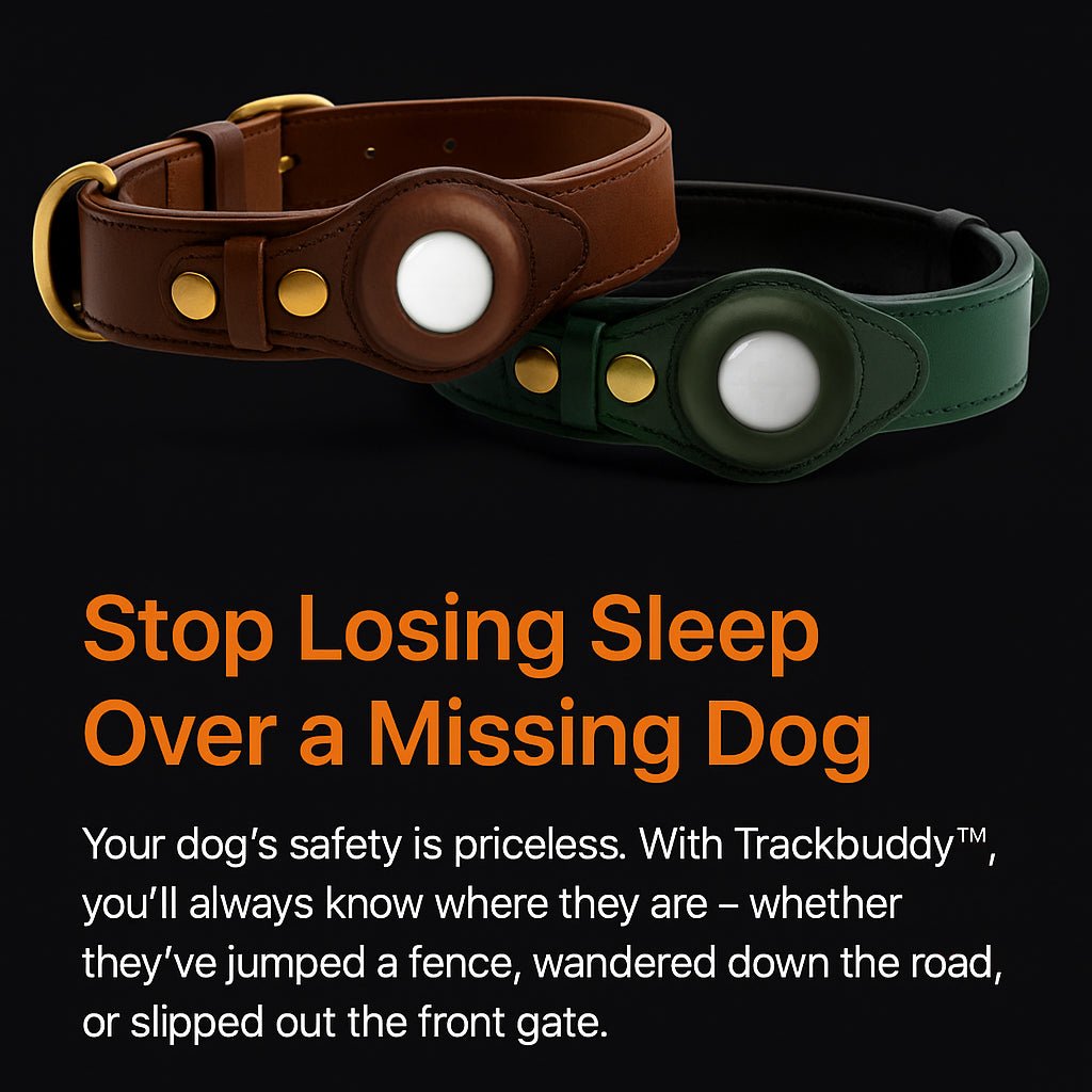 Trackbuddy™ Smart Tracking Collar - CANINE CORNER