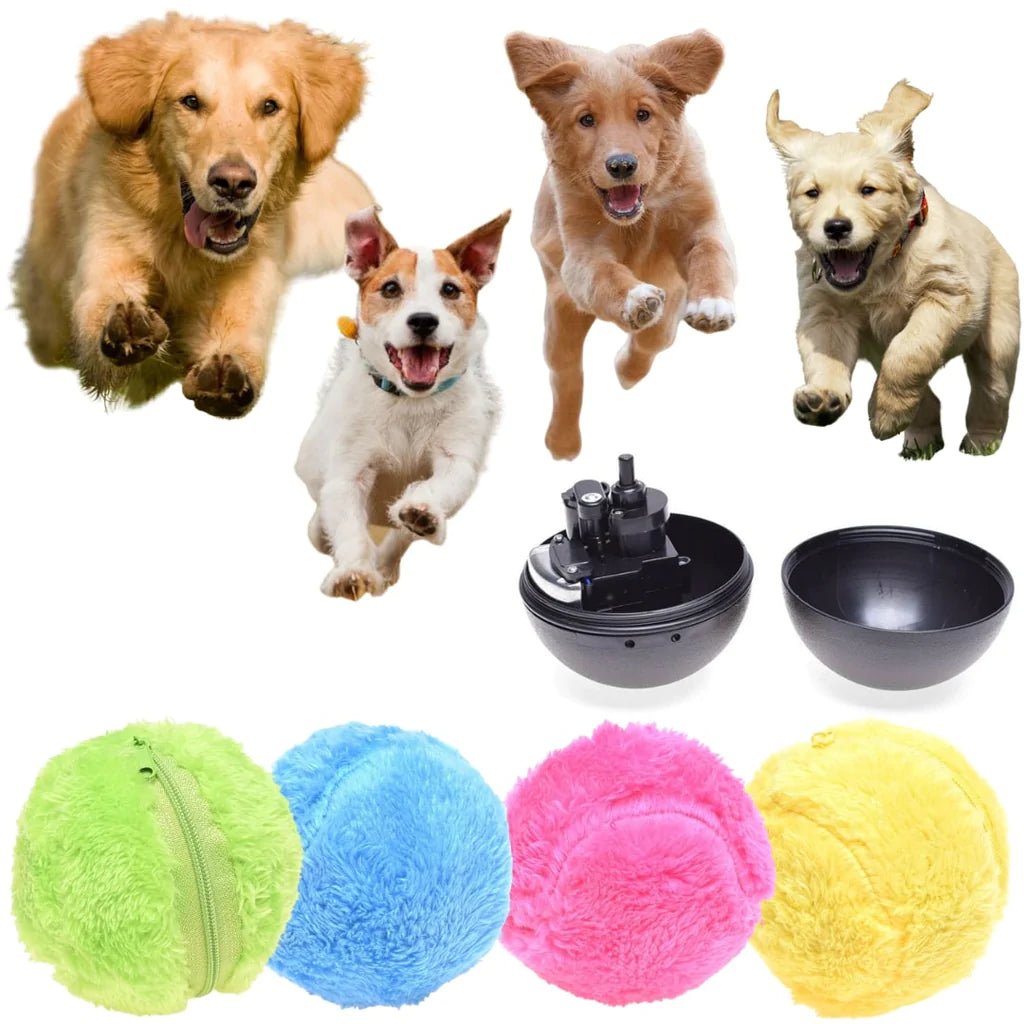 Active Rolling Ball (4 Colours Included) - CANINE CORNER
