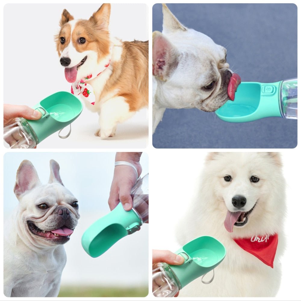 Hydro - Paw - Dog Water Bottle - CANINE CORNER
