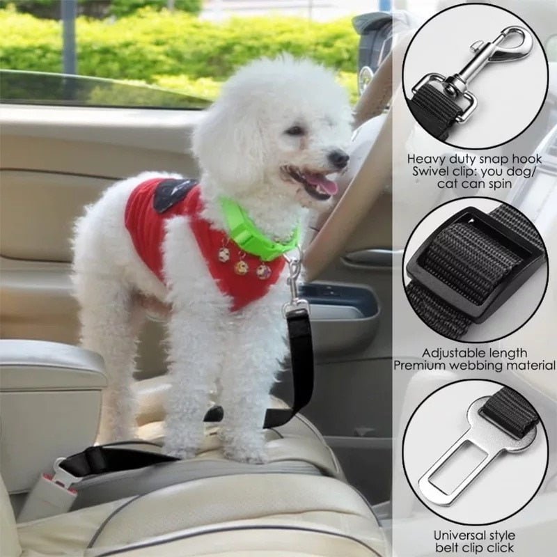 PupSafe - Seatbelt for Dogs - CANINE CORNER