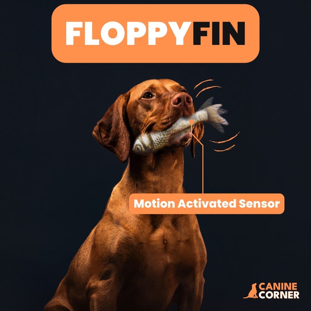 FloppyFin - Interactive Fish Toy