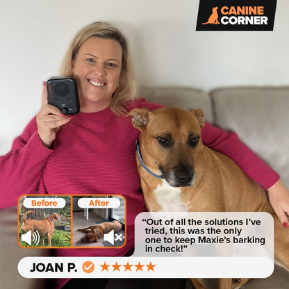 Barkbuddy™ - CANINE CORNER