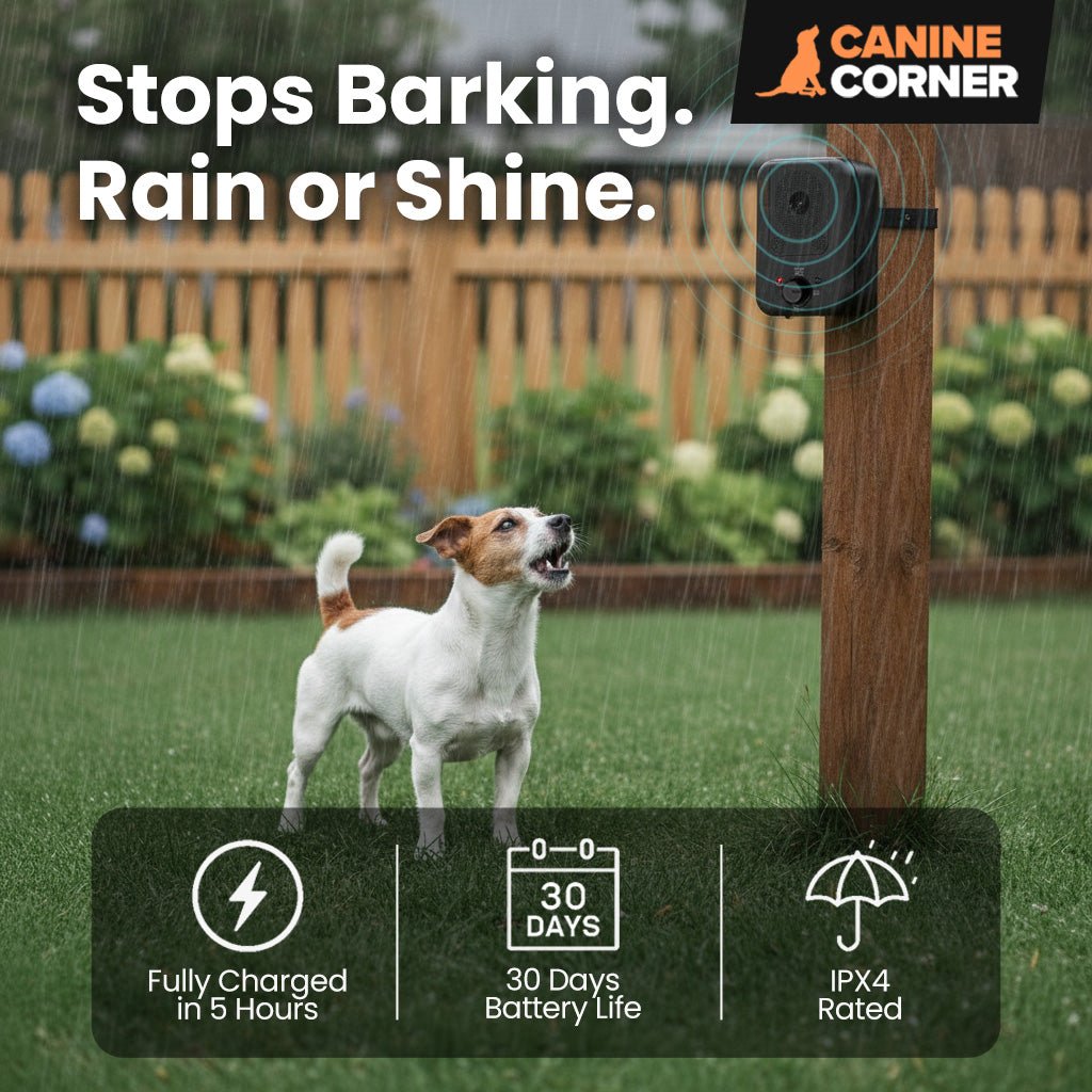 Barkbuddy™ - CANINE CORNER