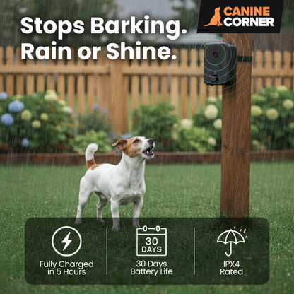 Barkbuddy™ - CANINE CORNER
