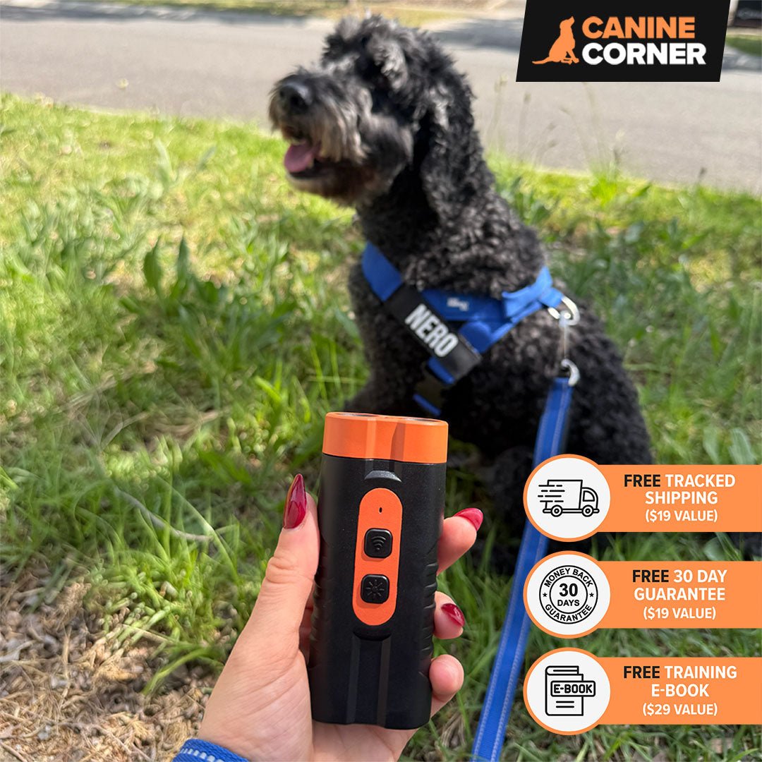 Barkbuddy Go™ - CANINE CORNER