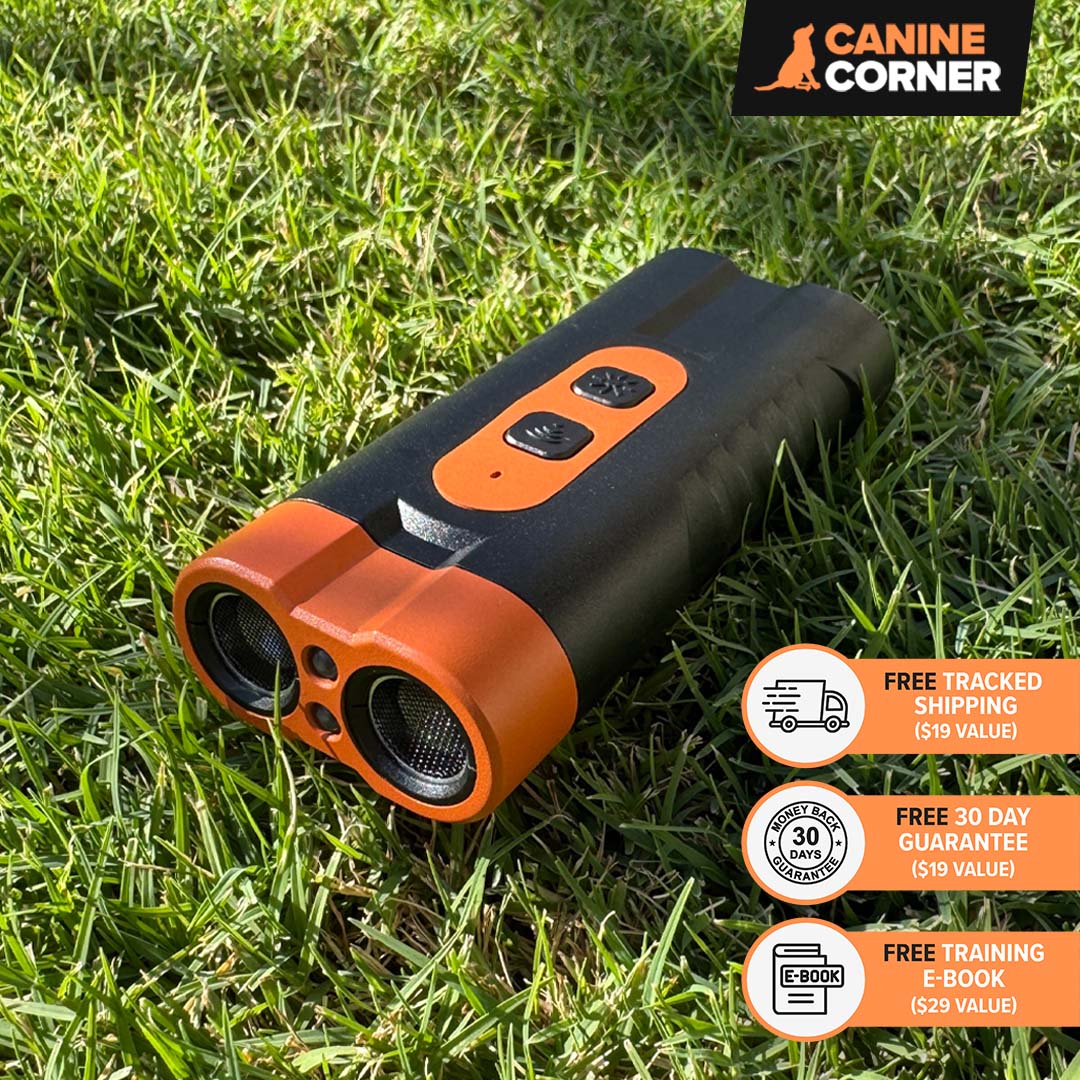 Barkbuddy Go™ - CANINE CORNER