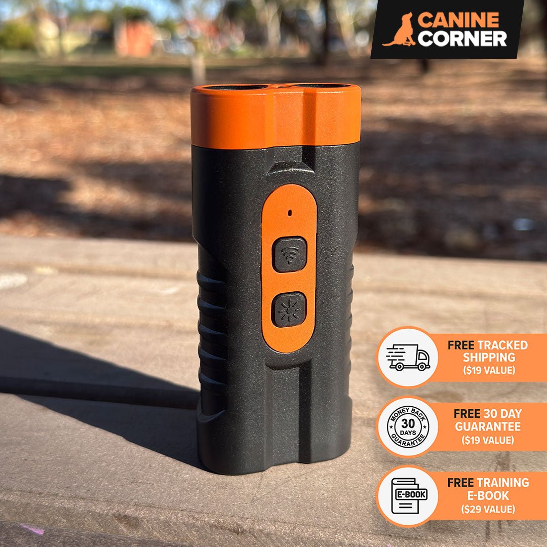 Barkbuddy Go™ - CANINE CORNER