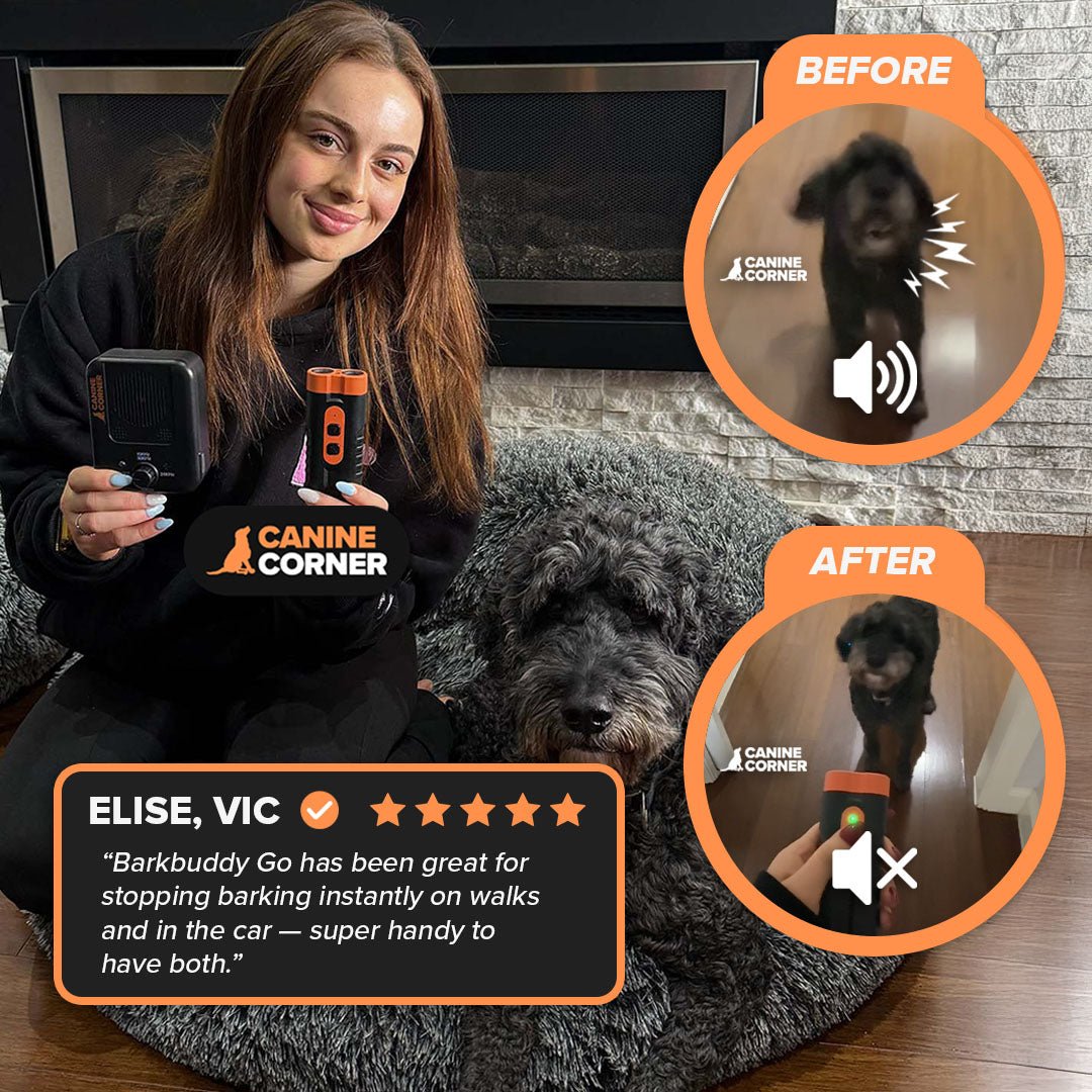 Barkbuddy Go™ - CANINE CORNER
