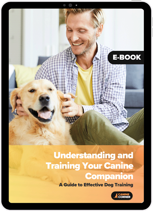 Understanding and Training Your Canine Companion: A Guide to Effective Dog Training