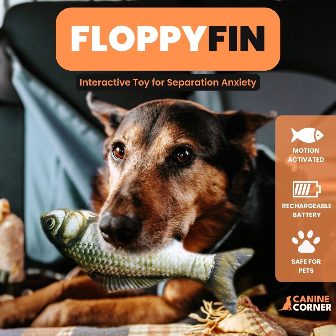 FloppyFin - Interactive Fish Toy - CANINE CORNER