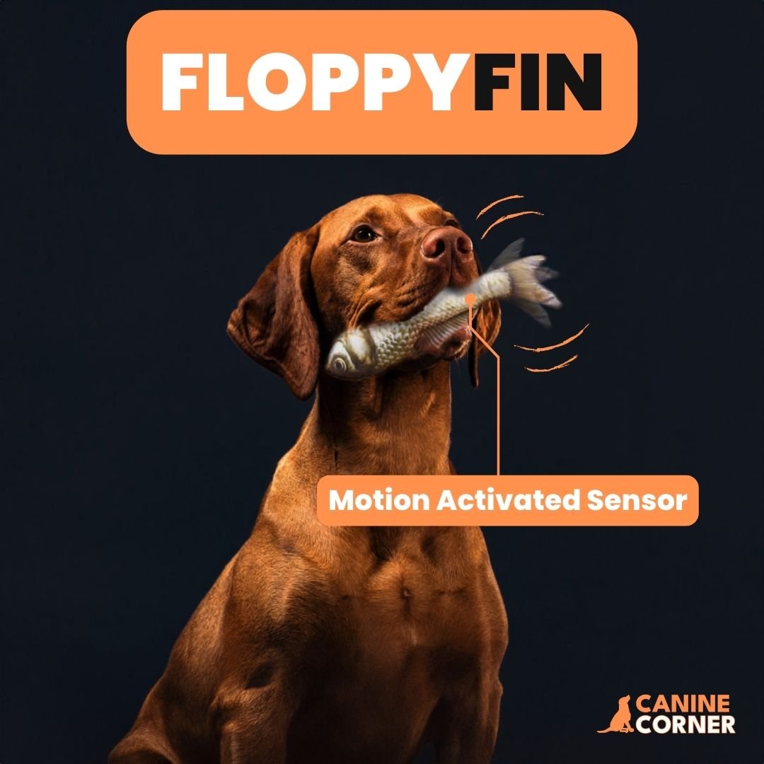 FloppyFin - Interactive Fish Toy - CANINE CORNER