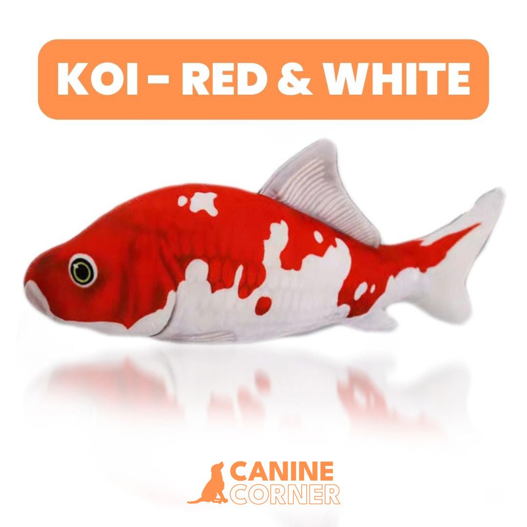 FloppyFin - Interactive Fish Toy - CANINE CORNER