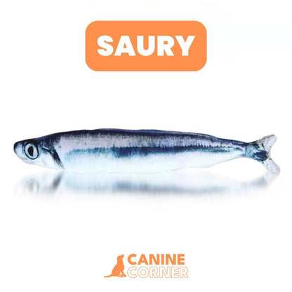 FloppyFin - Interactive Fish Toy - CANINE CORNER