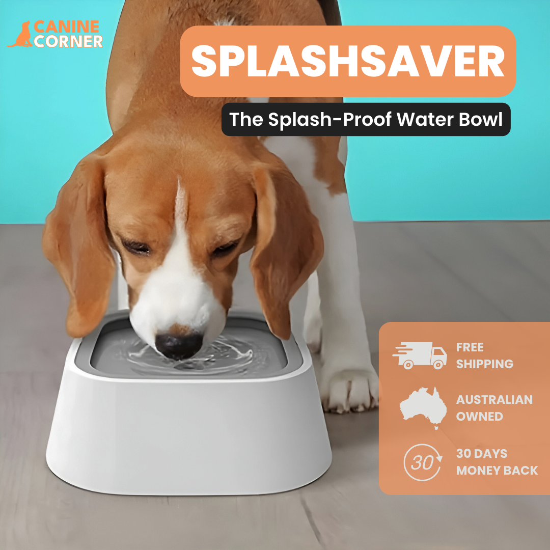 SplashSaver™ - The Splash-Proof Water Bowl