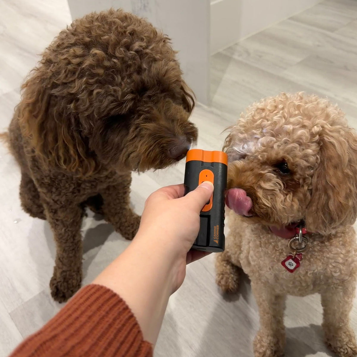 Handheld Anti Bark Device – Barkbuddy Go® | Proven Portable Bark Control
