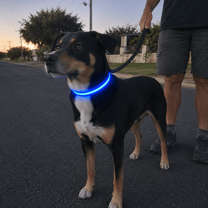 The Paw Beacon™ LED Visibility Collar - CANINE CORNER