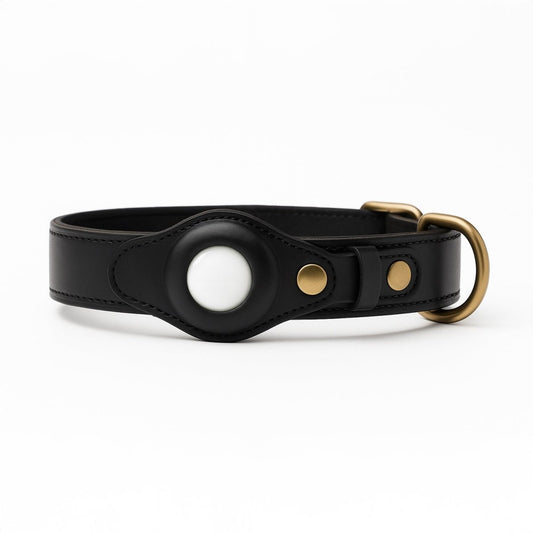 Trackbuddy™ Smart Tracking Collar - CANINE CORNER