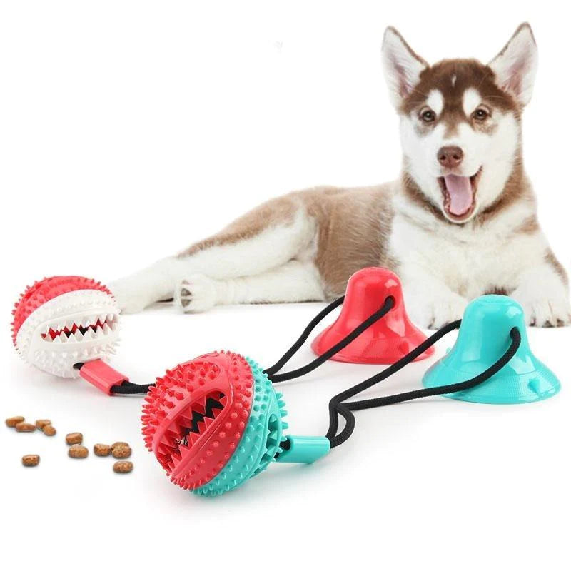 TugToy - Suction Cup Chew Toy