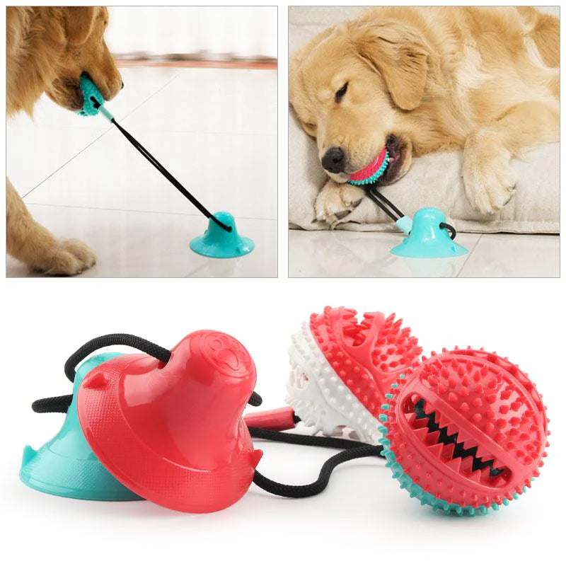 TugToy - Suction Cup Chew Toy